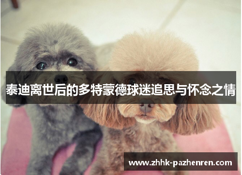 泰迪离世后的多特蒙德球迷追思与怀念之情 泰迪离世后的多特蒙德球迷追思与怀念之情